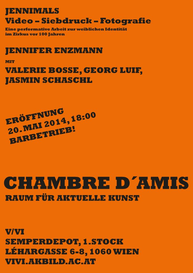 Eine Ausstellung des Fachbereichs Video und Videoinstallation am Institut für bildende Kunst im Rahmen von Chambre d'Amis – Raum für aktuelle Kunst von Jennifer Enzmann mit Valerie Bosse, Georg Luif, Jasmin Schaschl.