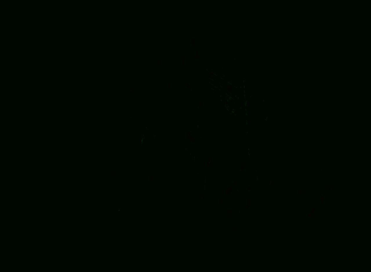 DARKNESS ist eine Veranstaltung, die vom vom Fachbereich für Kontextuelle Malerei organisiert wird. Sie findet in den Wäldern des Wiener Praters statt. Bringt eure Taschenlampen mit!