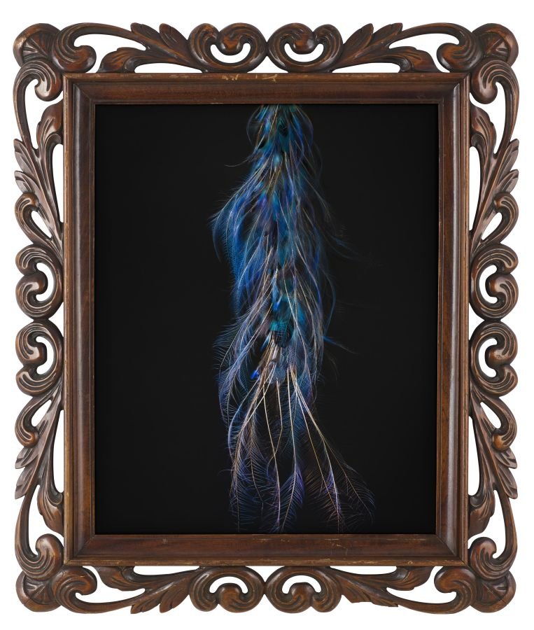 LAUTER STILLLEBEN
  
  Unser eigenes Bild von der Welt
 
 
 Workshop für Kinder von 6 bis 13 Jahren mit Diplompädagogin Stephanie Sentall BA
 
 Im Rahmen der Ausstellung "Natura Morta"