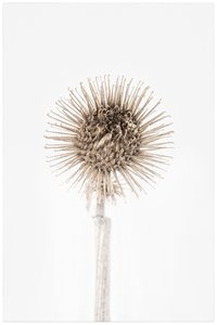 Aktuelle Informationen zum Coronavirus (SARS-CoV-2)
  
  GESCHLOSSEN: Die permanente Ausstellung und die Sonderausstellungen von Gemäldegalerie und Kupferstichkabinett der Akademie zu Gast im Theatermuseum, Lobkowitzplatz 2, 1010 Wien bleiben ab Mittwoch, 11.3.2020, bis voraussichtlich 3.4.2020 GESCHLOSSEN.