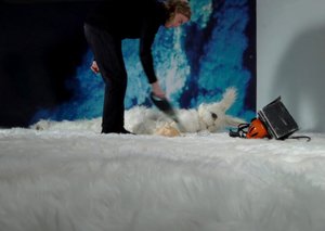Die Akademie der bildenden Künste Wien freut sich, dass auch dieses  Jahr    wieder zahlreiche Arbeiten von Lehrenden, ehemaligen Lehrenden,     Studierenden, sowie Alumni auf der Diagonale, dem Festival des     österreichischen Films, in Graz vertreten sind und gratulieren den Preisträger_innen.