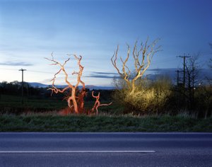 Ausstellung in Kooperation mit der Akademie der bildenden Künste Wien, Institut für Kunst- und Kulturwissenschaften/ Kunstgeschichte der Moderne und Nachmoderne, Univ.-Prof. Dr. Sabeth Buchmann.
 
 Kuratiert von Sabeth Buchmann, Kathi Hofer und Eva Maria Stadler.