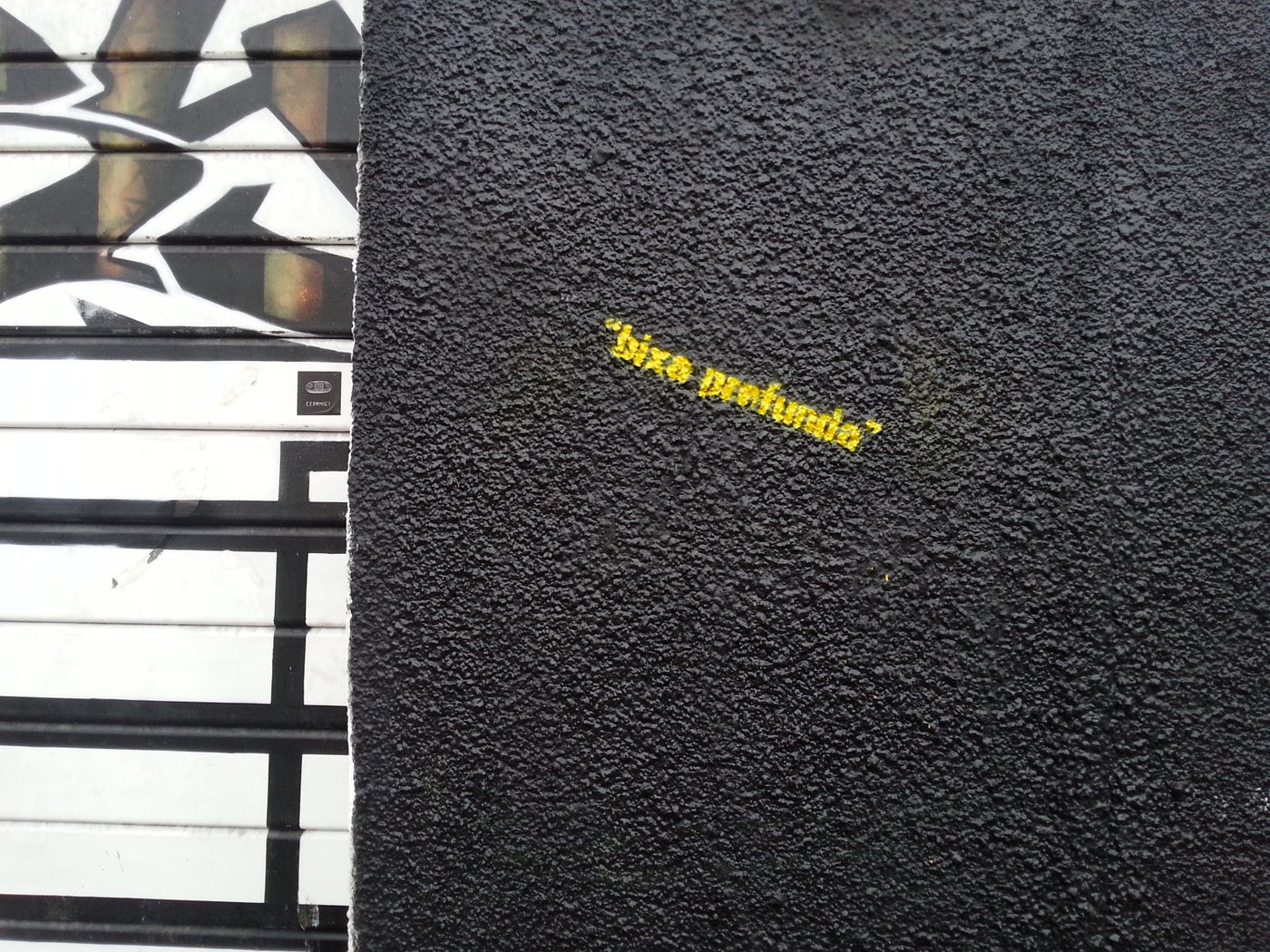 Anna T.
Research Grantee Academy of Fine Arts Vienna | Dissertation Completion Fellowship 2015/16